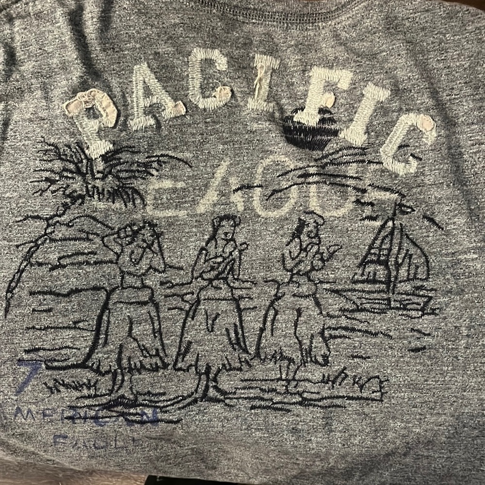 American Eagle Men’s Gray T-Shirt Medium Hoola Girls